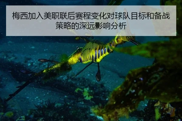 梅西加入美职联后赛程变化对球队目标和备战策略的深远影响分析